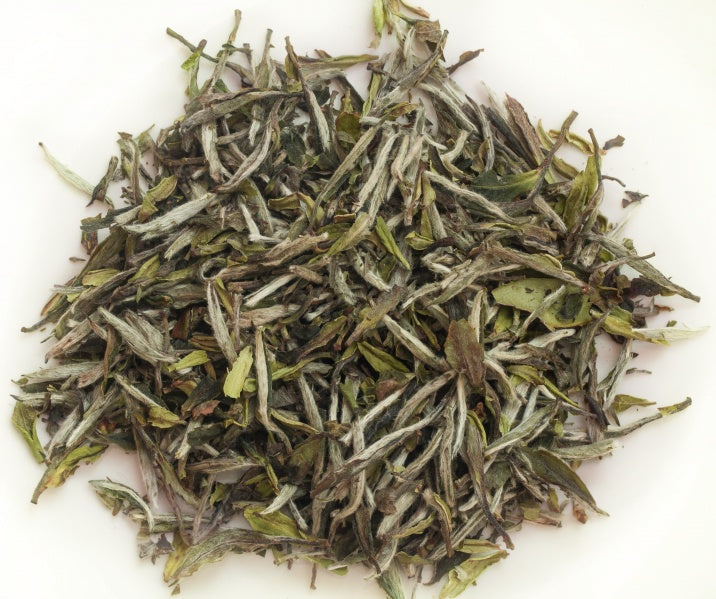Bai Mu Dan King - Premium White Tea - Fujian, China