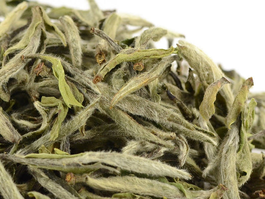 Bai Mu Dan King - Premium White Tea - Fujian, China