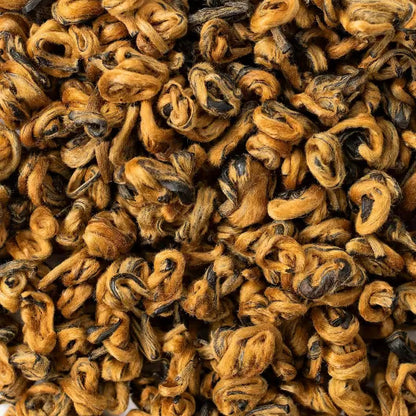 Premium Golden Snail Black Tea – Dian Hong from Yunnan – Hand-Rolled | Malty & Smooth